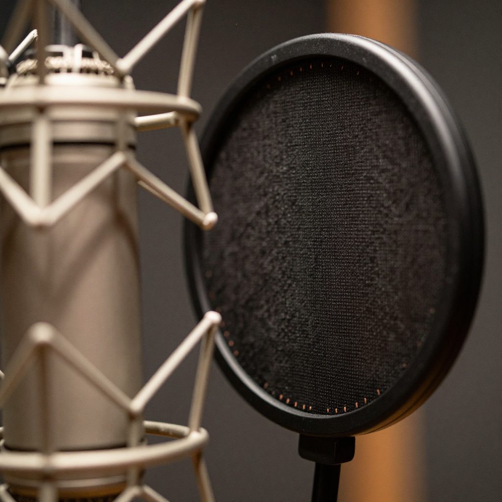 Detail: microphone, pop filter and acoustic fabric in booth.